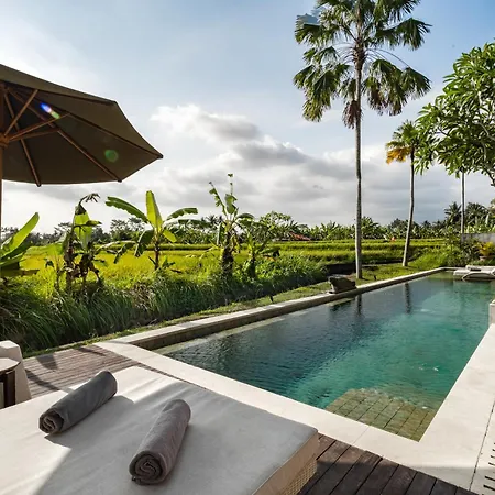 Villa Mimpi By Balisuperhost Ubud Exterior foto